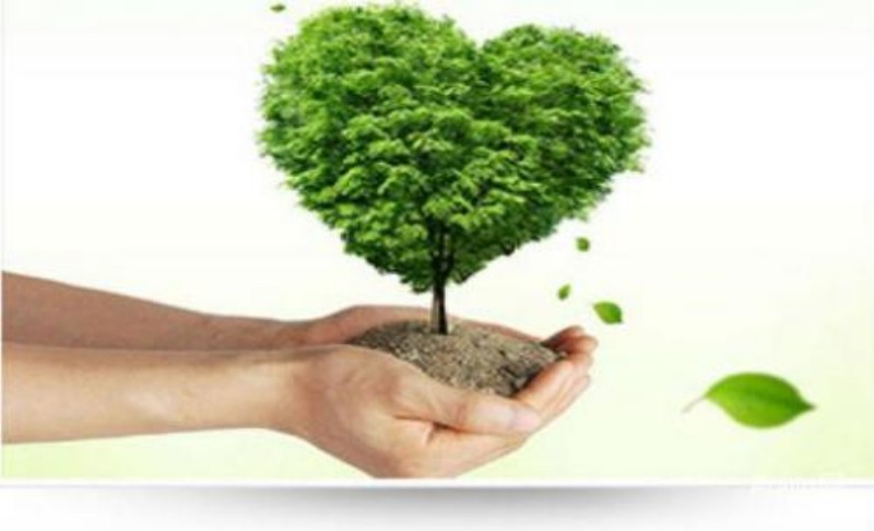 衡陽技師學院實訓中心2019年廢舊設備處理項目競價成交結(jié)果公告